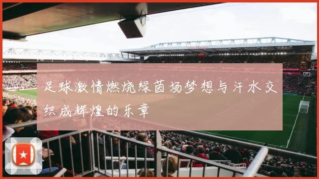 足球激情燃烧绿茵场梦想与汗水交织成辉煌的乐章