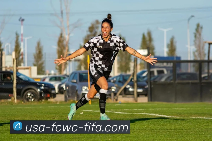 世界杯中国官方网站平台生态图